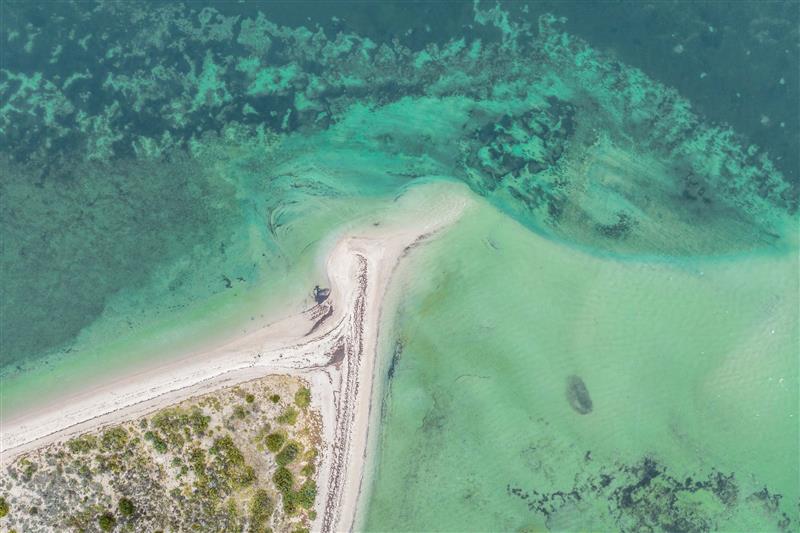 Aerial view of Black Point coastline Yorke Peninsula